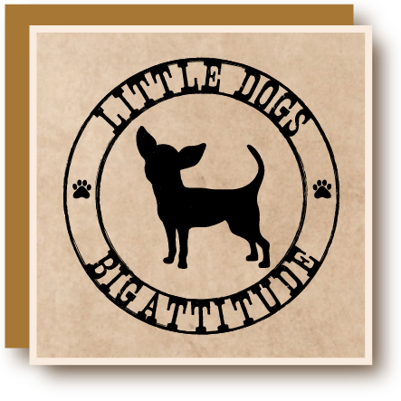 Little Dogs Big Attitude Chihuahua