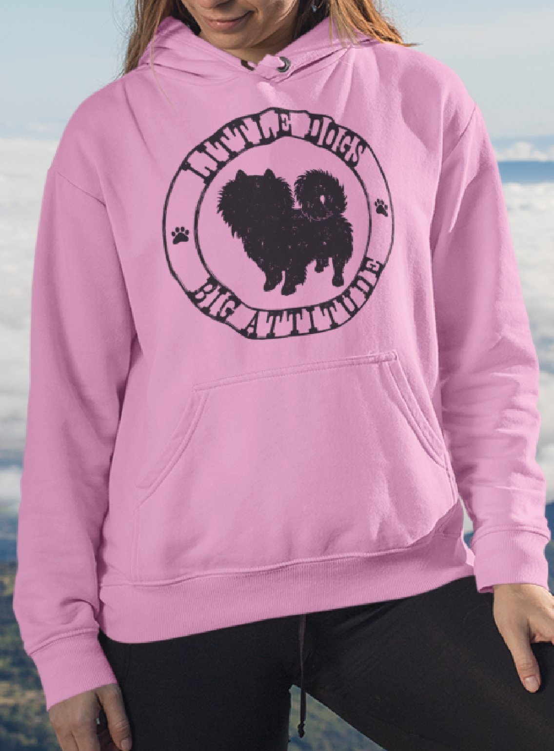 Little Dogs Big Attitude Pomeranian