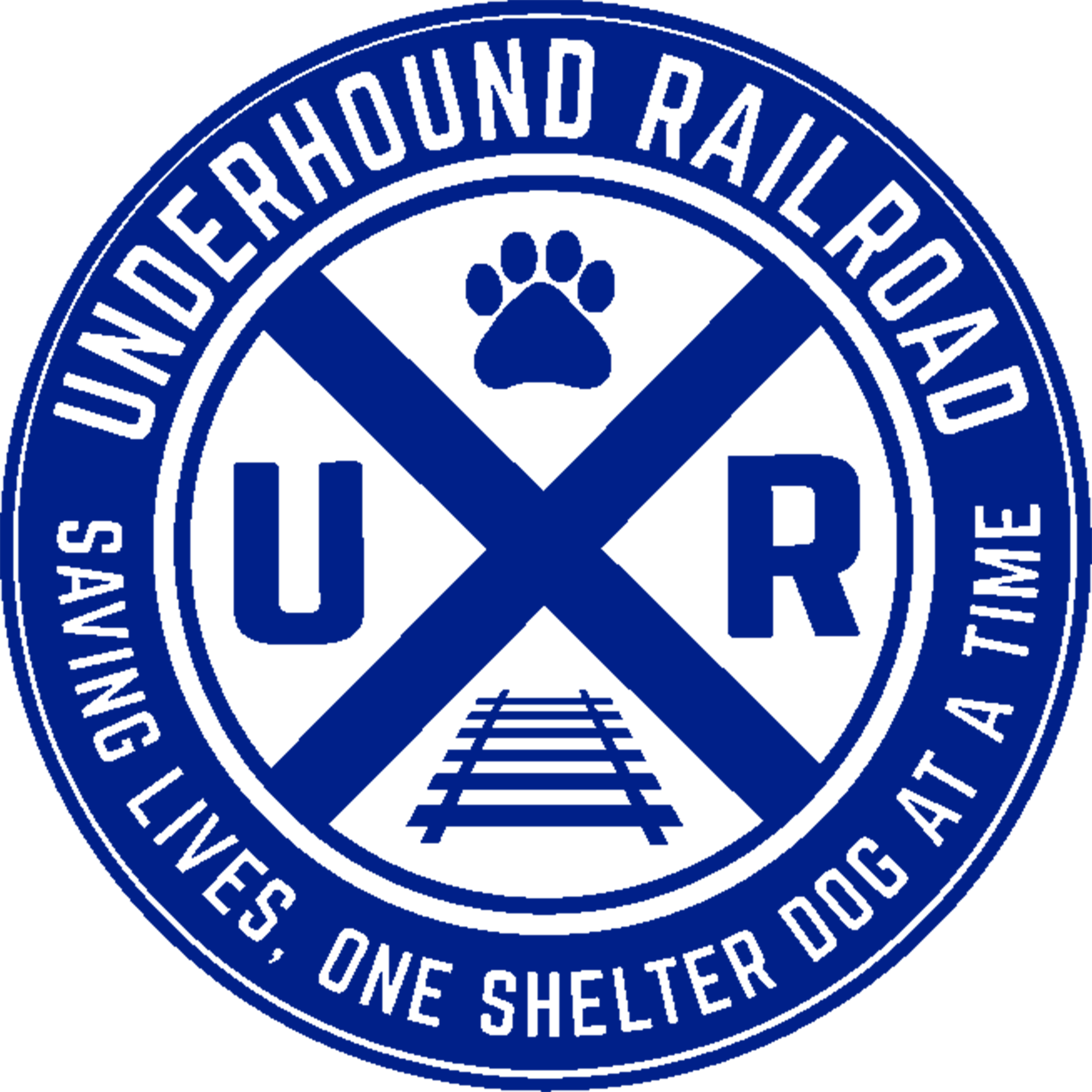 Ladies Junior Fit Crew - Underhound Railroad